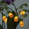 Pineapple String Lights; Battery Operated; 10 Fun Patio Lights; Party Bedroom Home Birthday Indoor Decor; Outdoor Hawaiian Tropical Tiki Gifts De