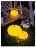 Indoor & Outdoor Pumpkin Lantern LED Lantern for patio terrance camping garden