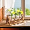 Glass Planter Bulb Plant Terrarium with Wooden Stand Desktop Mothers day gifts -