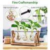 Glass Planter Bulb Plant Terrarium with Wooden Stand Desktop Mothers day gifts -