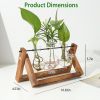 Glass Planter Bulb Plant Terrarium with Wooden Stand Desktop Mothers day gifts -