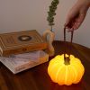 Indoor & Outdoor Pumpkin Lantern LED Lantern for patio terrance camping garden