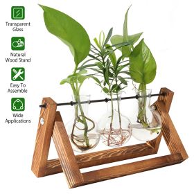 Glass Planter Bulb Plant Terrarium with Wooden Stand Desktop Mothers day gifts -