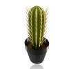 Cactus Toothpick Holder, 3D Printed Cactus Toothpick Dispenser, House Plant Toothpick Cactus Hold, Toothpicks Holder Decorative