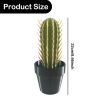 Cactus Toothpick Holder, 3D Printed Cactus Toothpick Dispenser, House Plant Toothpick Cactus Hold, Toothpicks Holder Decorative