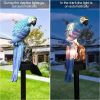 Parrot Decor Garden Solar Light