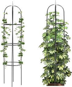 Obelisk Trellis for Climbing Plants Outdoor 165cm Rose Bush Sqaure Trellis for Pots Rustproof Metal for Vines (Style: Round)